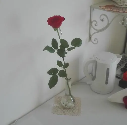 Gaia's Bed and breakfast