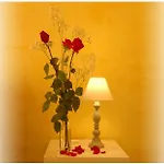 Bed and breakfast Gaia's Roma